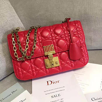 DIORADDICT 1674 