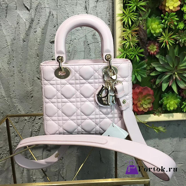MiNi Lady Dior 1769  - 1