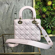 MiNi Lady Dior 1769  - 6