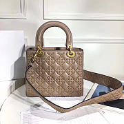 Lady Dior 1772  - 1