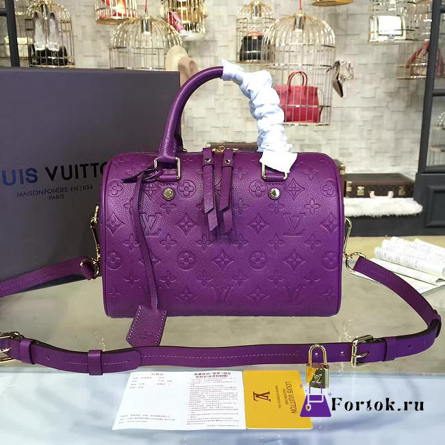Louis Vuitton SPEEDY BANDOULIÈRE 25 3209 - 1