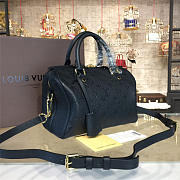 LOUIS VUITTON SPEEDY 25 NOIR 3223 - 3