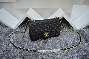 CHANEL Lambskin Leather Flap Bag Gold / Silver Hardware Black 20cm - 2