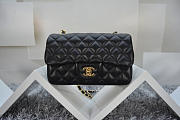 CHANEL Lambskin Leather Flap Bag Gold / Silver Hardware Black 20cm - 6