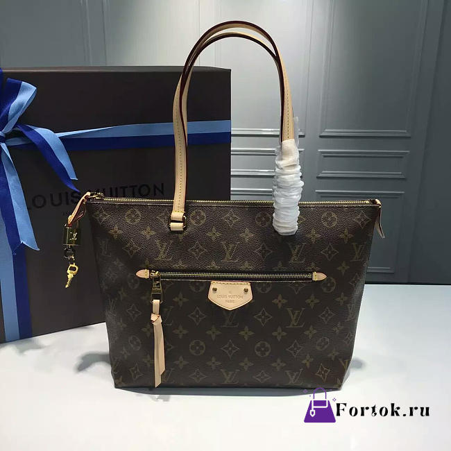 Louis Vuitton IENA Monogram Canvas 42cm - 1