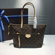 Louis Vuitton IENA Monogram Canvas 42cm - 1