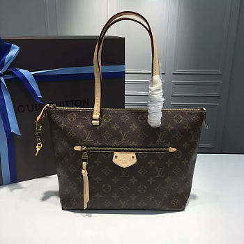 Louis Vuitton IENA Monogram Canvas 42cm