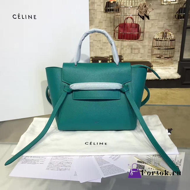Celine Leather Belt Bag Z1189 24cm  - 1