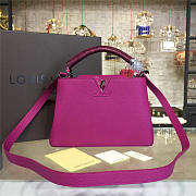 LOUIS VUITTON CAPUCINES BB FREESIA  3452 - 6