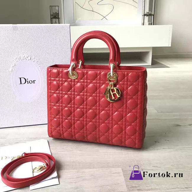 Lady Dior 1565  - 1