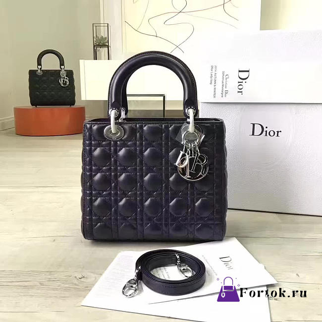Lady Dior 1581  - 1