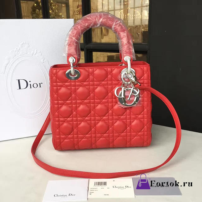 Lady Dior 1619 - 1