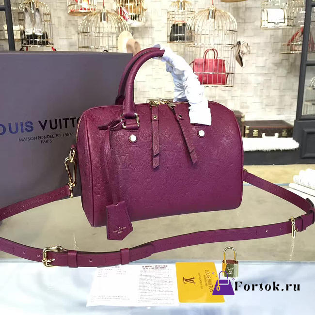 Louis Vuitton SPEEDY BANDOULIÈRE 25 3213 - 1