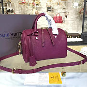 Louis Vuitton SPEEDY BANDOULIÈRE 25 3213 - 1