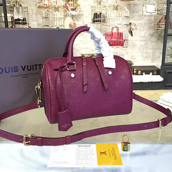 Louis Vuitton SPEEDY BANDOULIÈRE 25 3213