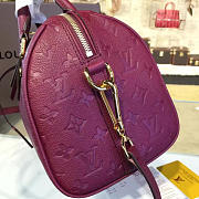 Louis Vuitton SPEEDY BANDOULIÈRE 25 3213 - 6