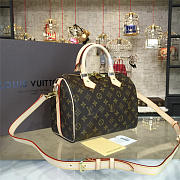 LOUIS VUITTON SPEEDY BANDOULIERE 25 - 3