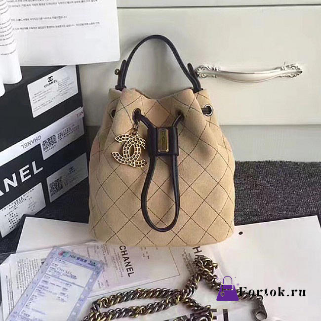 Chanel Calf Leather Mini Bucket Bag 170304 20cm - 1