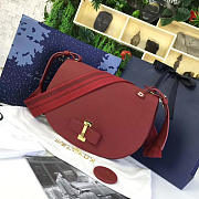 DELVAUX Calfskin Le Mutin Saddle Bag Red 1481 29cm  - 1