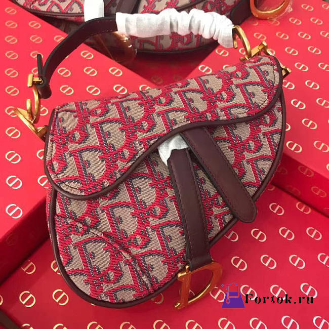 Dior Women Saddle Bag in red Canvas M0446  - 1