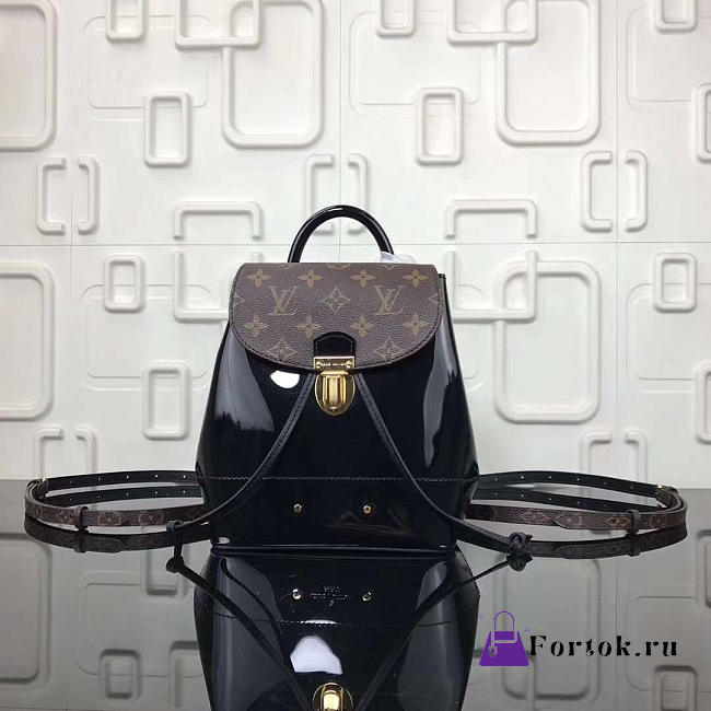LOUIS VUITTON Mini Backpack M53545 Black 21cm - 1