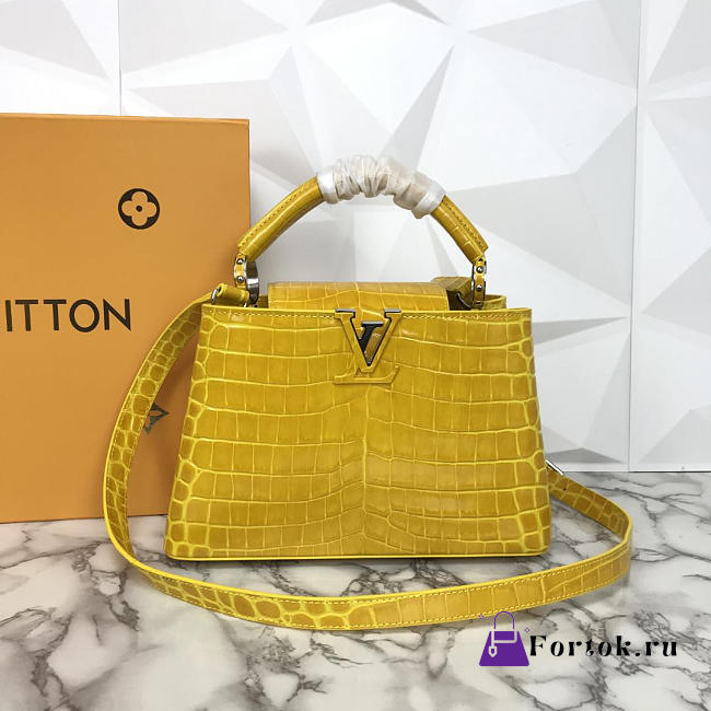 LOUIS VUITTON Capucines Small Handbag N93163  - 1