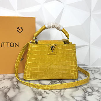 LOUIS VUITTON Capucines Small Handbag N93163 