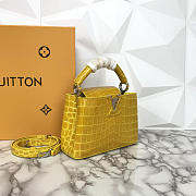LOUIS VUITTON Capucines Mini Handbag N94227 - 2