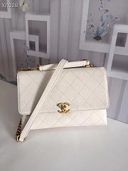 Chanel Ladies Handbag White 25cm - 6