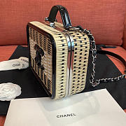 Chanel New Rattan Cowhide Makeup Bag - 6