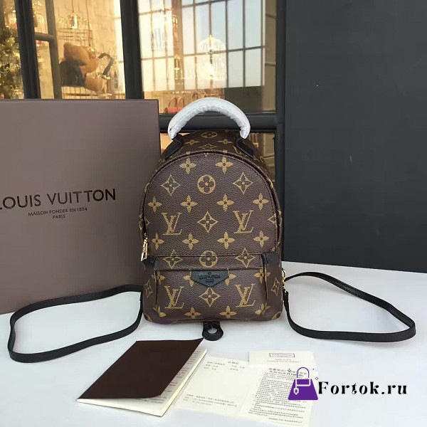 Louis Vuitton Palm Springs Backpack Mini Monogram Canvas M41562 - 1