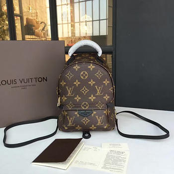 Louis Vuitton Palm Springs Backpack Mini Monogram Canvas M41562