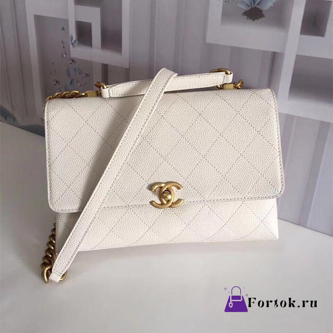 Chanel Ladies Handbag White 25cm - 1