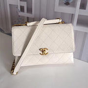 Chanel Ladies Handbag White 25cm - 1