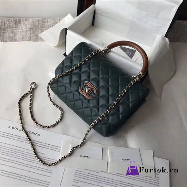 Chanel Flap Bag with Top Handle Mallard Green 21cm - 1