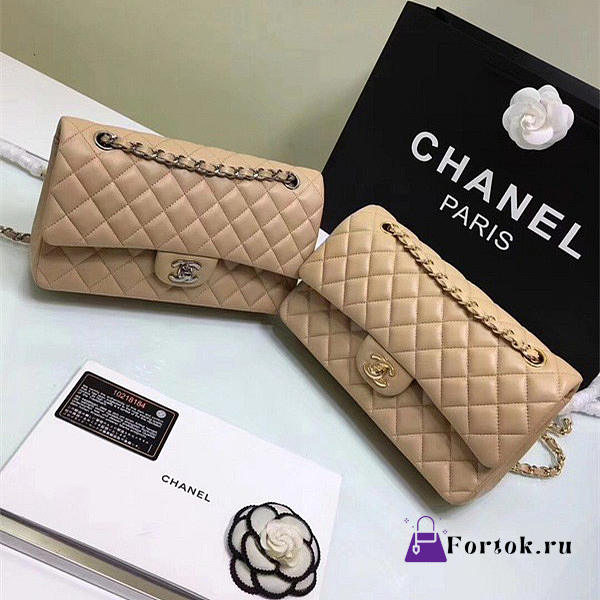 CHANEL Lambskin Leather Flap Bag Gold/Silver Beige 25cm - 1