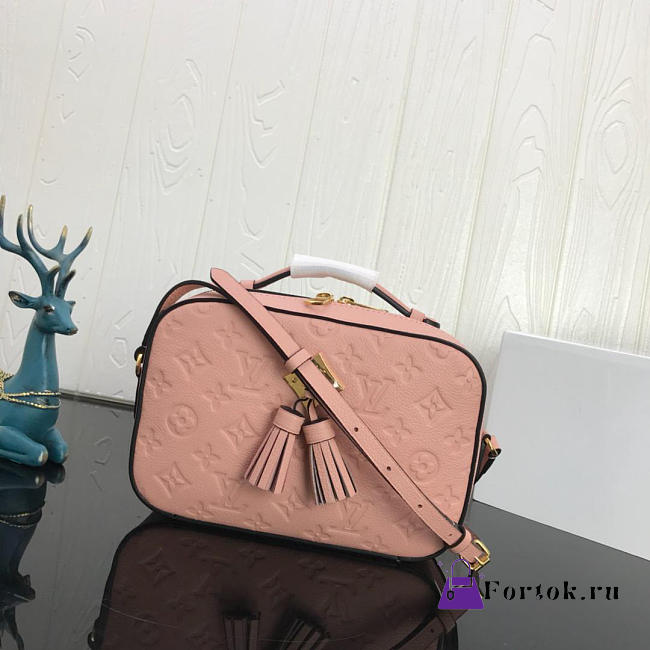 LOUIS VUITTON Saintonge Handbag Pink 22cm  - 1