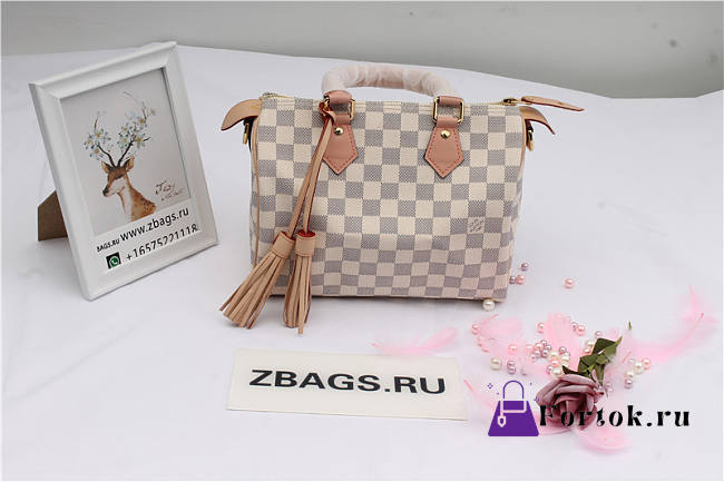 LOUIS VUITTON SPEEDY Handbag N44367 30  - 1