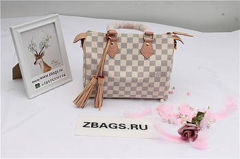 LOUIS VUITTON SPEEDY Handbag N44367 30 