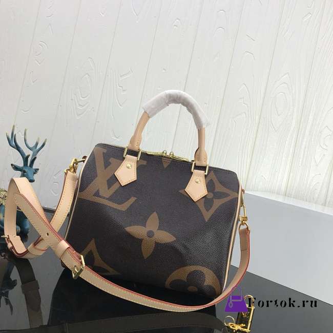 LOUIS VUITTON SPEEDY Handbag Monogram Canvas 25cm - 1