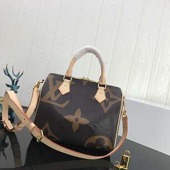 LOUIS VUITTON SPEEDY Handbag Monogram Canvas 25cm