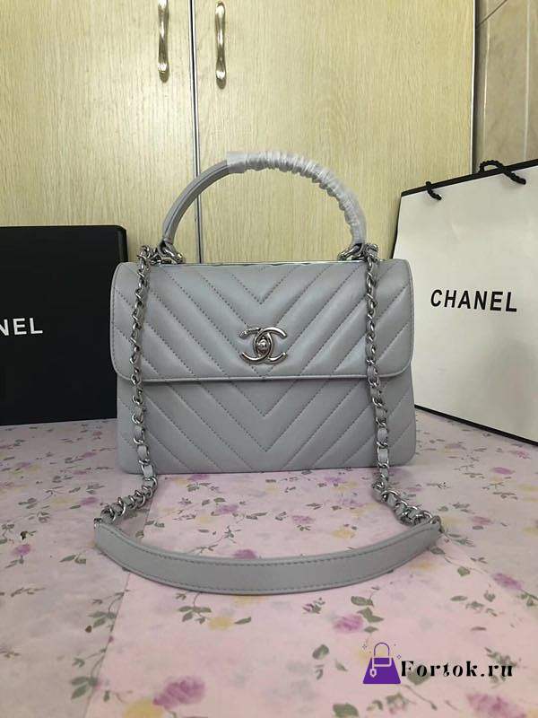 Chanel New Bright Handbag Gray Silver Hardware 25cm  - 1