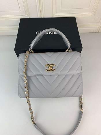 Chanel New Bright Handbag Gray Gold Hardware 25cm