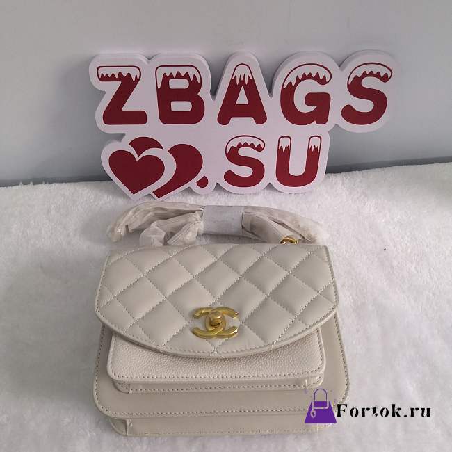 Chanel Bag Organ Bag Small Square Bag White  - 1