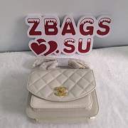 Chanel Bag Organ Bag Small Square Bag White  - 1
