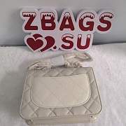 Chanel Bag Organ Bag Small Square Bag White  - 2