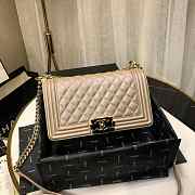 Chanel Leboy 2019 Pearlescent chain shoulderbag 67086 25cm - 3