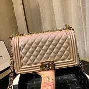 Chanel Leboy 2019 Pearlescent chain shoulderbag 67086 25cm - 5