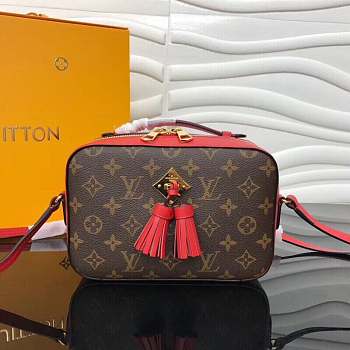 LOUIS VUITTON Saintonge Monogram M43555