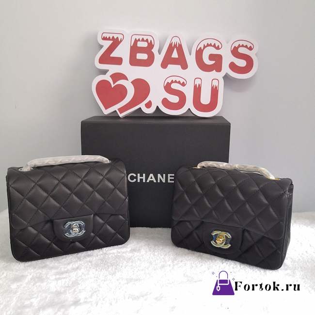 Chanel Chanel 17CM Mini Flap Bag Lambskin Leather With Gold&Silver Hardware  - 1